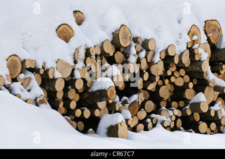 Gestapeltes Brennholz, Buchenholz, im Schnee Stockfoto