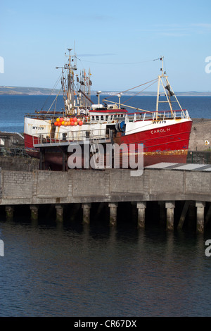 Angeln rühmen im Hafen von Newlyn Stockfoto