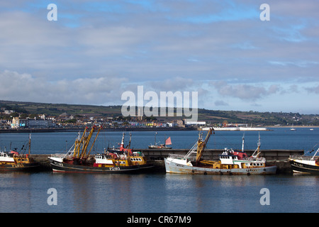 Angeln rühmen im Hafen von Newlyn Stockfoto