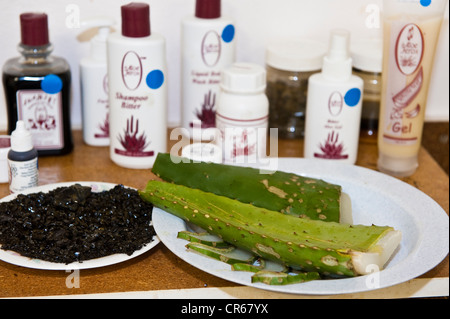 Südafrika, Western Cape, Albertinia, Aloe Ferox Shop, Verkauf von waren durch den Anbau von Aloe Ferox produziert Stockfoto