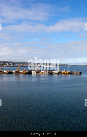 Angeln rühmen im Hafen von Newlyn Stockfoto