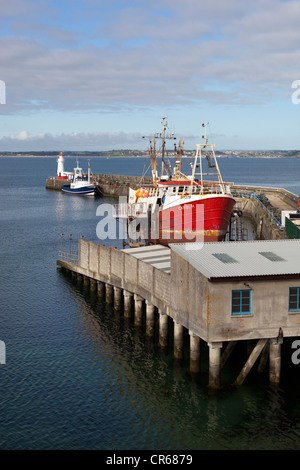 Angeln rühmen im Hafen von Newlyn Stockfoto