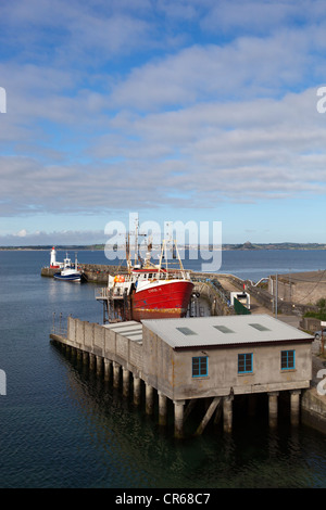 Angeln rühmen im Hafen von Newlyn Stockfoto