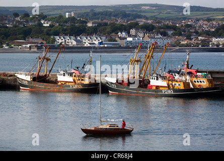 Angeln rühmen im Hafen von Newlyn Stockfoto