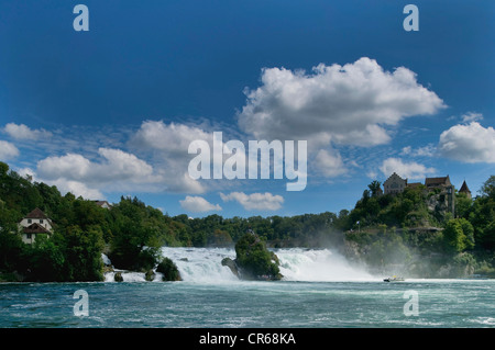 Rheinfall bei Schaffhausen, Wasserfall, der Schweiz, Europa Stockfoto