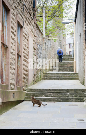 Eine Katze, die Treppe und die alte Frau in Stromness auf den Orkney-Inseln Stockfoto