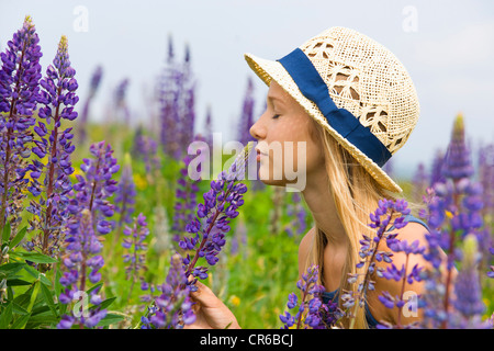 Österreich, Teenage Mädchen riechen lupine Blüte Stockfoto