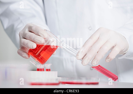 Deutschland, Bayern, München, Wissenschaftler strömenden rote Flüssigkeit in Reagenzglas für die medizinische Forschung im Labor Stockfoto