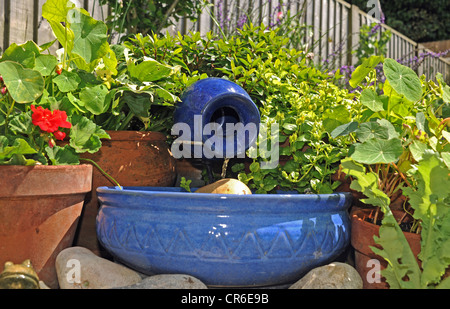 Kleine solar angetriebene Wasserspiel hilft Geld sparen und Umwelt im heimischen Garten UK Stockfoto