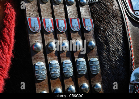 Frisch gezapftes Pferd trägt einen Gurt aus der Spatenbrau Brauerei, Oktoberfest 2010, München, Upper Bavaria, Bayern, Deutschland, Europa Stockfoto