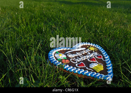 Lebkuchenherz vom Oktoberfest liegen in der Wiese, Grüße vom Oktoberfest 2010, München, Bayern, Oberbayern Stockfoto