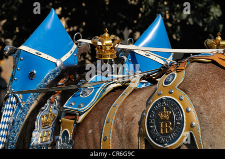 Schuetzen-Und Trachtenzug, Kostüm und schützen die Parade zur Eröffnung des Oktoberfest München Hofbrau Brauerei Pferd team Stockfoto