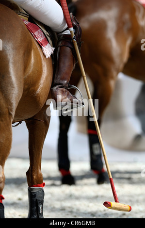 Polospieler mit Hammer sitzt auf einem Pferd, Airport Arena Polo Event 2010, München, Upper Bavaria, Bayern, Deutschland, Europa Stockfoto