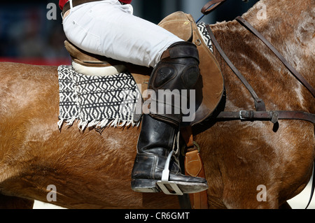 Polospieler mit schwarzen Stiefeln auf seinem Pferd, Airport Arena Polo Event 2010, München, Upper Bavaria, Bayern, Deutschland, Europa Stockfoto