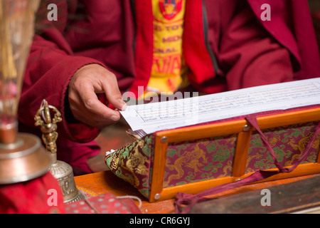 Mönch lesen aus Gebetbuch in der Gebetsraum im Hemis Gompa, (Ladakh) Jammu & Kaschmir, Indien Stockfoto