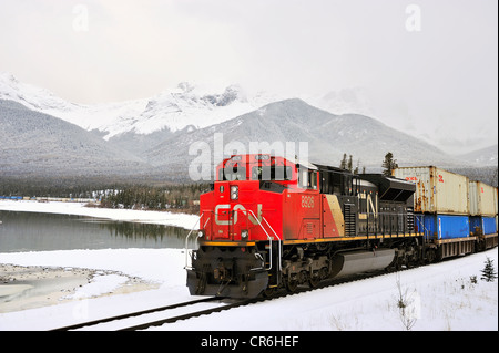 Ein Canadian National Güterzug eine Zuglast von Containern Stockfoto