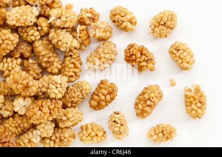 Hintergrund von getrockneten weißen Maulbeere Beeren auf eine Künstlerleinwand Stockfoto