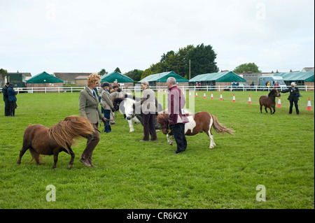 Cornwall, England, UK - Royal Cornwall Show 2012 Stockfoto