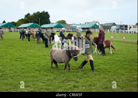 Cornwall, England, UK - Royal Cornwall Show 2012 Stockfoto