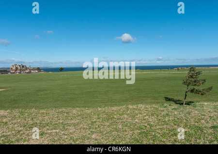 Winterfield Golfplatz Dunbar Belhaven Bay und Bass Rock im Hintergrund East Lothian, Schottland Stockfoto