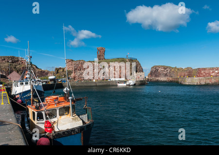 Angelboote/Fischerboote im Hafen von Dunbar mit Schloss Dunbar East Lothian Scotland Stockfoto