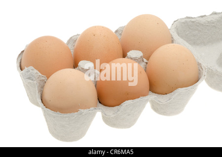 Nahaufnahme von sechs frischen Eiern in einen Eierkarton. Stockfoto