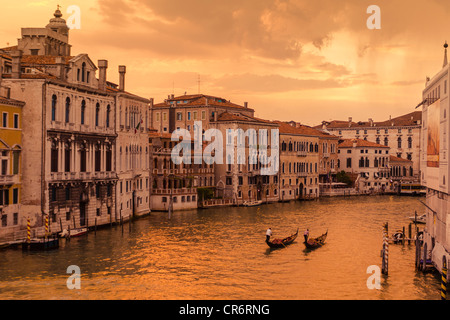 Abendlicht am Canal Grande, Venedig, Italien Stockfoto