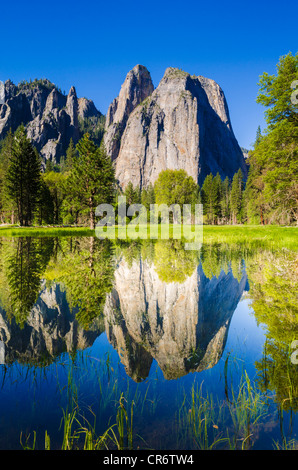 Cathedral Rocks spiegelt sich im Teich, Yosemite-Nationalpark, Kalifornien USA Stockfoto