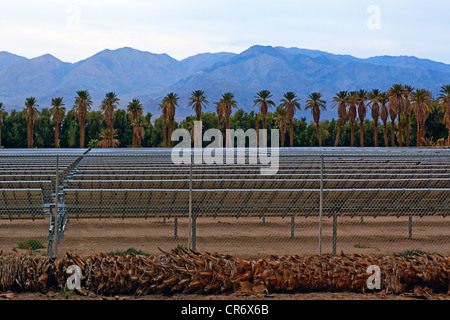 Solar-Panel-Array in Furnace Creek, Death Valley, Kalifornien Stockfoto