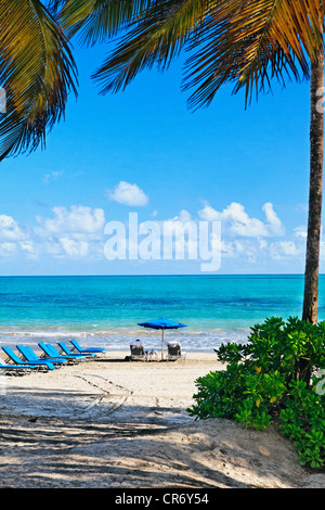 Liegestühle am Strand, Isla Verde, Puerto Rico Stockfoto