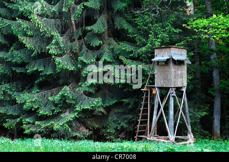 Der Jäger Ansitz am Rande einer Tanne Wald, Kirchroettenbach, Middle Franconia, Bayern, Deutschland, Europa Stockfoto