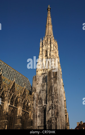 Stephansplatz, Stephansdom, Baugerüst bedeckt mit einem großen Foto, Stephansplatz quadratisch, Wien, Austria, Europe Stockfoto