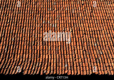 Alte Dachziegel auf einem Bauernhof, Königsberg, untere Franken, Bayern, Deutschland, Europa Stockfoto