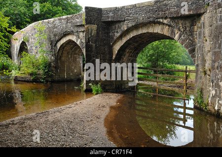 Resprin Brücke, historische Brücke aus dem 12. Jahrhundert über den Fluss Fowey, Lostwithiel, Cornwall, England, Vereinigtes Königreich Stockfoto