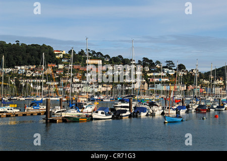 Marina in Kingswear, Devon, England, Vereinigtes Königreich, Europa Stockfoto