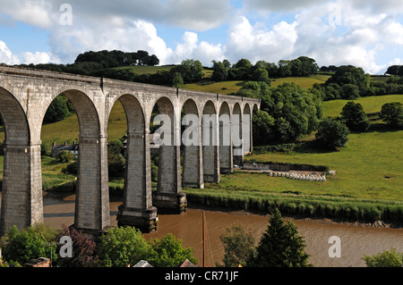 Eisenbahnviadukt über den Tamar River, mit zwölf Bögen, Baujahr 1908, Calstock, Cornwall, England, Vereinigtes Königreich, Europa Stockfoto