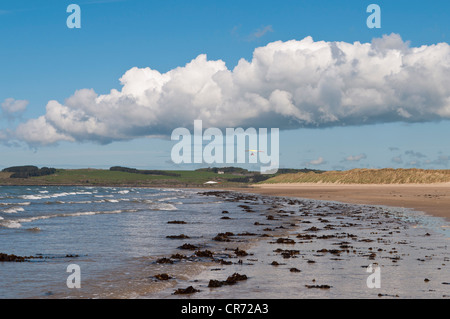 Traeth Penrhos Strand Llanddwyn Insel Anglesey Stockfoto