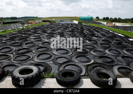 Aufgabesilo bedeckt mit geschnittenen alten Autoreifen, Jeese, Mecklenburg-Western Pomerania, Deutschland, Europa Stockfoto