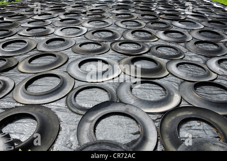 Aufgabesilo bedeckt mit geschnittenen alten Autoreifen, Jeese, Mecklenburg-Western Pomerania, Deutschland, Europa Stockfoto