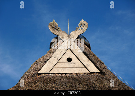 Niedersachsenpferde, Gabel cross mit symbolischen Pferdeköpfe und eine Bohrung für Eulen am Giebel eines alten Bauernhauses, Vitense Stockfoto