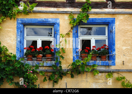 Zwei Fenster mit Geranien und blauen Grenzen auf der Haeckergut Farm von Steigerwaldrand, gebaut im Jahre 1717 von Ergersheim Stockfoto