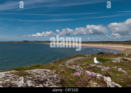 Blick Richtung Traeth Penrhos Strand von Llanddwyn Insel Anglesey North Wales Stockfoto