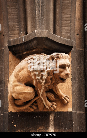 Löwe Skulptur im Neues Rathaus Neustadt Halle, Weinstraße, Munich, Bavaria, Germany, Europe Stockfoto