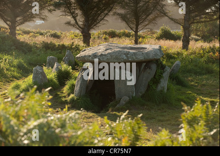 Frankreich, Côtes d ' Armor, cote de Granit Rose (rosa Granit Küste), Pleumeur Bodou, Ile Grande, Galerie Grab Stockfoto