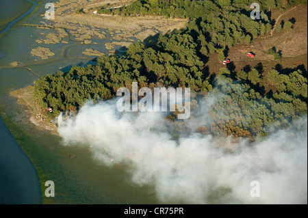 Frankreich, Morbihan, Golf von Morbihan, Vannes, Pinien und Mauren Feuer entlang des Flusses Conleau Stockfoto
