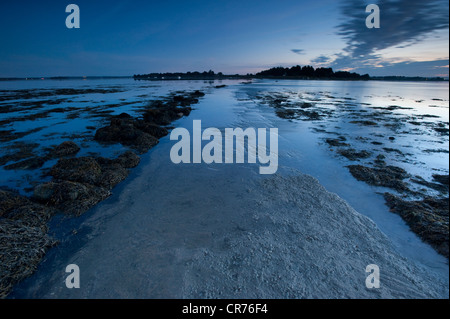 Frankreich, Morbihan, Golf von Morbihan, Saint Armel, Durchgang in Richtung Ile Tascon (Tascon Insel) bei Flut Stockfoto