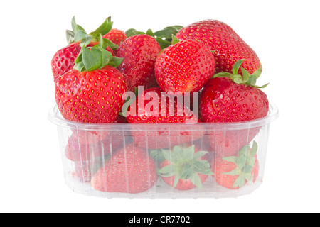 Körbchen Erdbeeren auf weißem Hintergrund isoliert Stockfoto