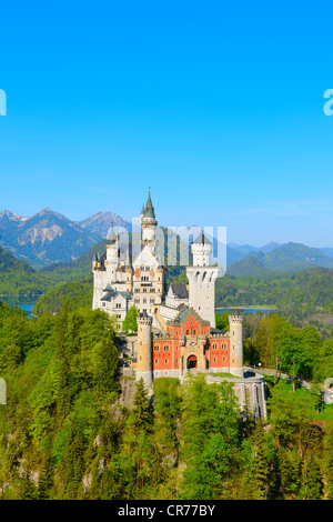 Schloss Neuschwanstein Castle, in der Nähe von Füssen, Ostallgaeu, Allgäu, Bayern, Deutschland, Europa Stockfoto