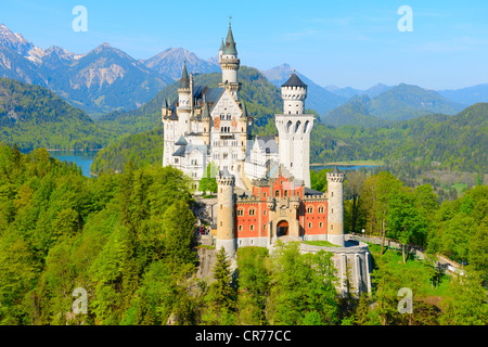 Schloss Neuschwanstein Castle, in der Nähe von Füssen, Ostallgaeu, Allgäu, Bayern, Deutschland, Europa Stockfoto