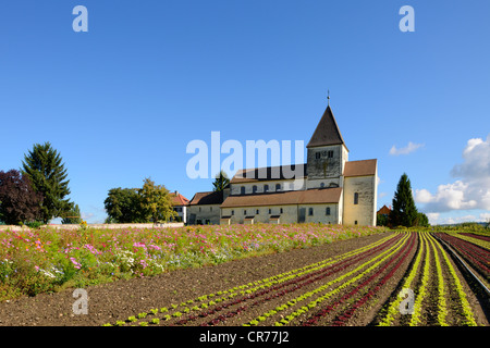 Kirche St. Georg auf der Reichenau Insel, berühmt für seine Gemüsefarmen, Bodensee, Oberzell, Landkreis Konstanz Stockfoto